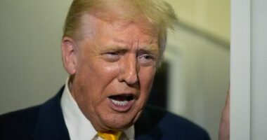 President Donald Trump speaks to reporters on Air Force One on his way to his Mar-a-Lago estate in Palm Beach, Fla., Friday, Nov. 14, 2025. (AP Photo/Manuel Balce Ceneta)