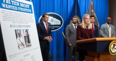 10 arrested in 'Operation Giant Slalom' targeting international drug ring controlled by former Olympian