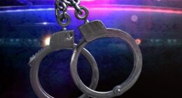 16 arrested in undercover child predator sting: Sheriff