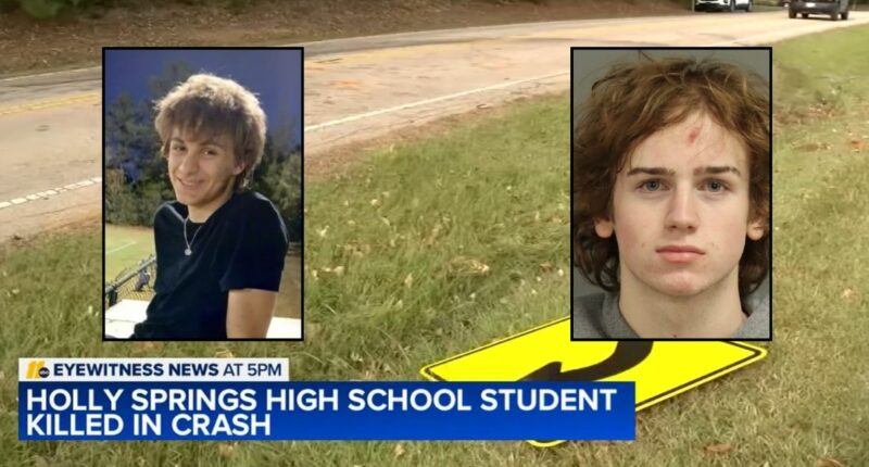 16-year-old drove drunk, killed 14-year-old on bike: Police