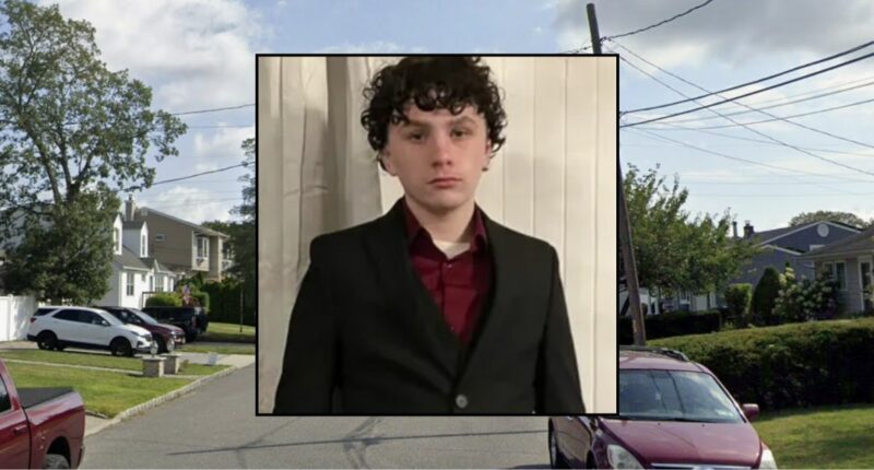 17-year-old fatally stabbed another teen at party: Police