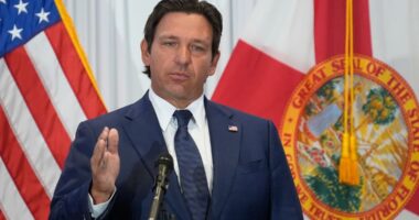 Florida takes early steps to advance recreational marijuana question to next year's ballot