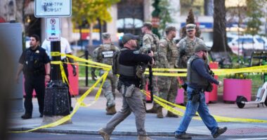 2 National Guardsmen shot near White House; suspect in custody