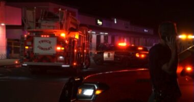 4 dead, 10 injured in mass shooting at California child's birthday party, officials say