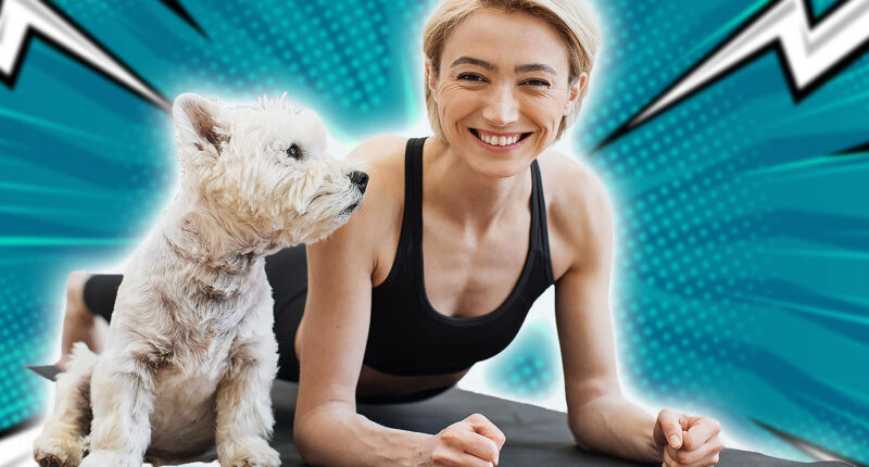 Portrait of happy blonde woman snuggling to adorable little dog while holding Forearm Plank Pose at home. Beautiful slim lady leading healthy lifestyle doing yoga whilst caring for furry friend.