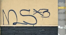 5 MS-13 gang members found guilty in string of gruesome California killings, bodies dumped off cliffs