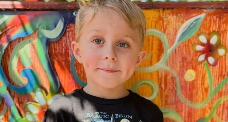 5-Year-Old Louisiana Boy Waiting on School Bus Killed by Drunk Driver, His Grandmother