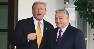 5 takeaways from Trump’s meeting with Hungary’s Orbán