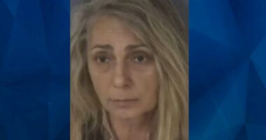 8-Year-Old Florida Girl Stabs Estranged Grandmother While Protecting Mother from Attack