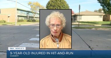 89-year-old woman drove into girl, 9, and kept going: Cops