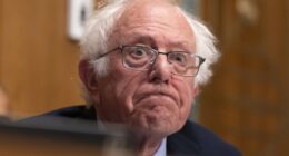 A Number of Progressive Democrats Are Coming Out Hard Against Schumer Shutdown Deal