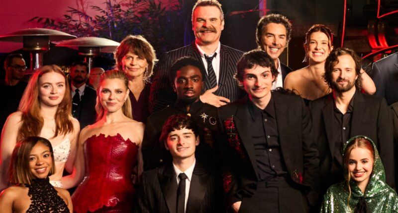 A Stranger Things Star Nearly Retired Before They Joined The Netflix Series