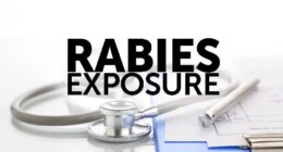 A bobcat on Jekyll Island has tested positive for rabies