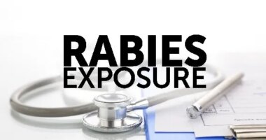 A bobcat on Jekyll Island has tested positive for rabies