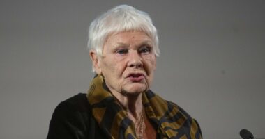AMD explained as Judi Dench 'can't leave house alone' because of condition