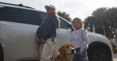 'About 15 and a half hours': Travelers share experiences driving to Florida amid Thanksgiving traffic