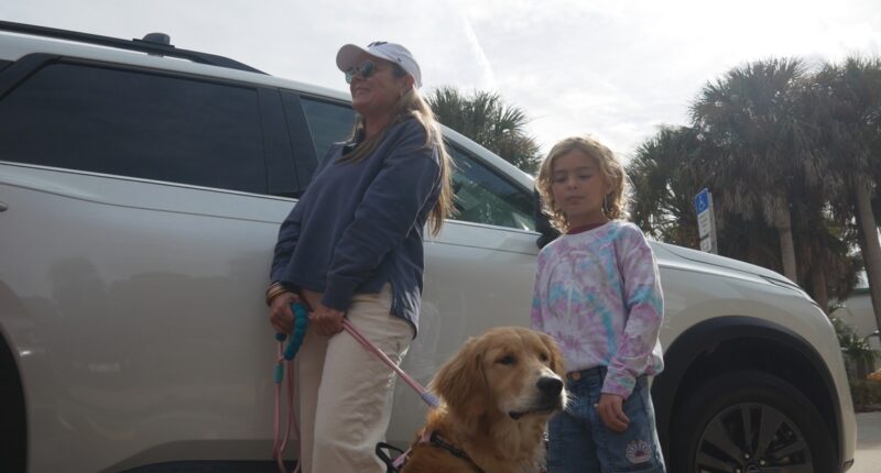 'About 15 and a half hours': Travelers share experiences driving to Florida amid Thanksgiving traffic