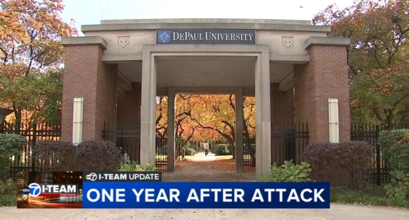 Adam Erkan pleads guilty to battery in attack on Jewish students on DePaul University Lincoln Park campus