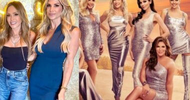 Alexis Bellino Accuses RHOC Cast of Having “Strategy” to Get Tamra “Off the Show” Ahead of Season 20 and Hints at Why