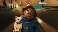 All 3 Paddington Movies, Ranked