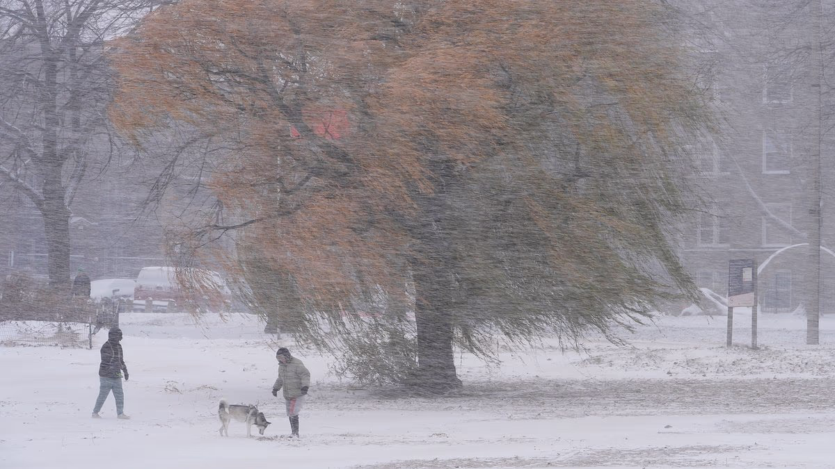 America to be hit with the 'most extreme cold on Earth' for December