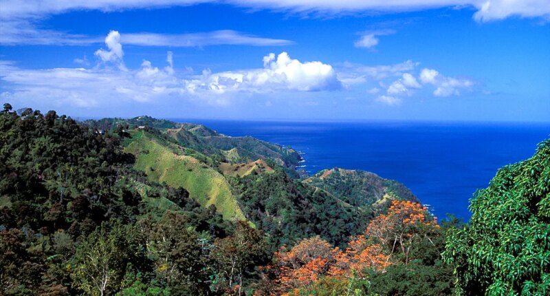 American tourist found stabbed to death in Tobago