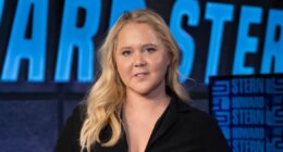 Amy Schumer Says She's 'Proud' of Her Body After Wiping Instagram