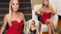 Amy Schumer deletes all pre-weight loss photos from social media
