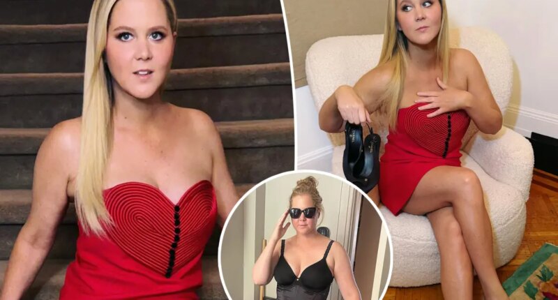 Amy Schumer deletes all pre-weight loss photos from social media