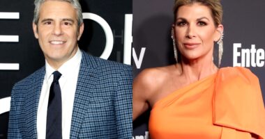 Andy Cohen Receives Text From Alexis Bellino at RHOC Reunion in Unseen Moment as He Names One of the "Best Single Episodes" in Real Housewives History