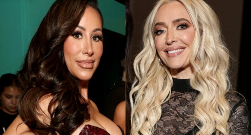 Angie Katsanevas Slams Erika Jayne for Saying She Was Worst Dressed