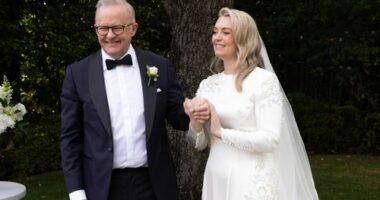 Anthony Albanese marries Jodie Haydon in private ceremony at The Lodge