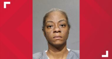 Arrest made in animal cruelty case involving rescued Great Dane near Jacksonville road