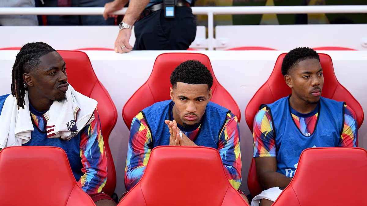 Arsenal Q&A - your questions answered: The three first-team stars they will listen to offers on, why Ethan Nwaneri could head out on loan in January, latest on Gabriel injury and Myles Lewis-Skelly's future