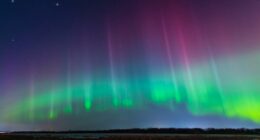 Aurora australis to be visible for large parts of Australia in rare event