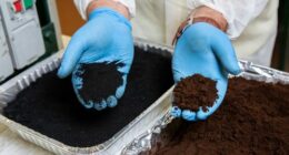 RMIT University researchers found that heating coffee grounds to about 350 degrees without oxygen creates biochar, which can be combined with sand to help produce concrete.