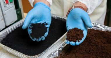 RMIT University researchers found that heating coffee grounds to about 350 degrees without oxygen creates biochar, which can be combined with sand to help produce concrete.