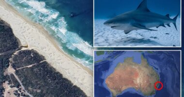 Australian woman killed in shark attack at Crowdy Bay National Park