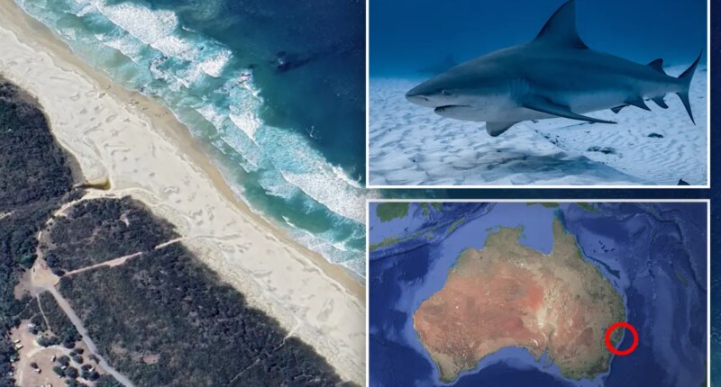 Australian woman killed in shark attack at Crowdy Bay National Park
