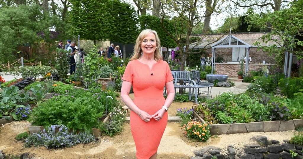 BBC Breakfast Carol Kirkwood’s transformation from young brunette to glam weathergirl