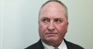 Barnaby Joyce announces defection but leaves key question unanswered