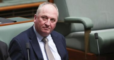 Barnaby Joyce continues to dangle potential One Nation switch