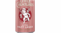 A popular Aussie beer has been recalled over fears cans could burst.A recall has been issued for 375ml cans of Little Creatures Little Hazy Larger by makers Lion- Beer, Spirits & Wine Pty Ltd .