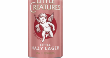 A popular Aussie beer has been recalled over fears cans could burst.A recall has been issued for 375ml cans of Little Creatures Little Hazy Larger by makers Lion- Beer, Spirits & Wine Pty Ltd .