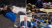 Biden admin forced airports to house migrants, risk safety: bombshell Senate report