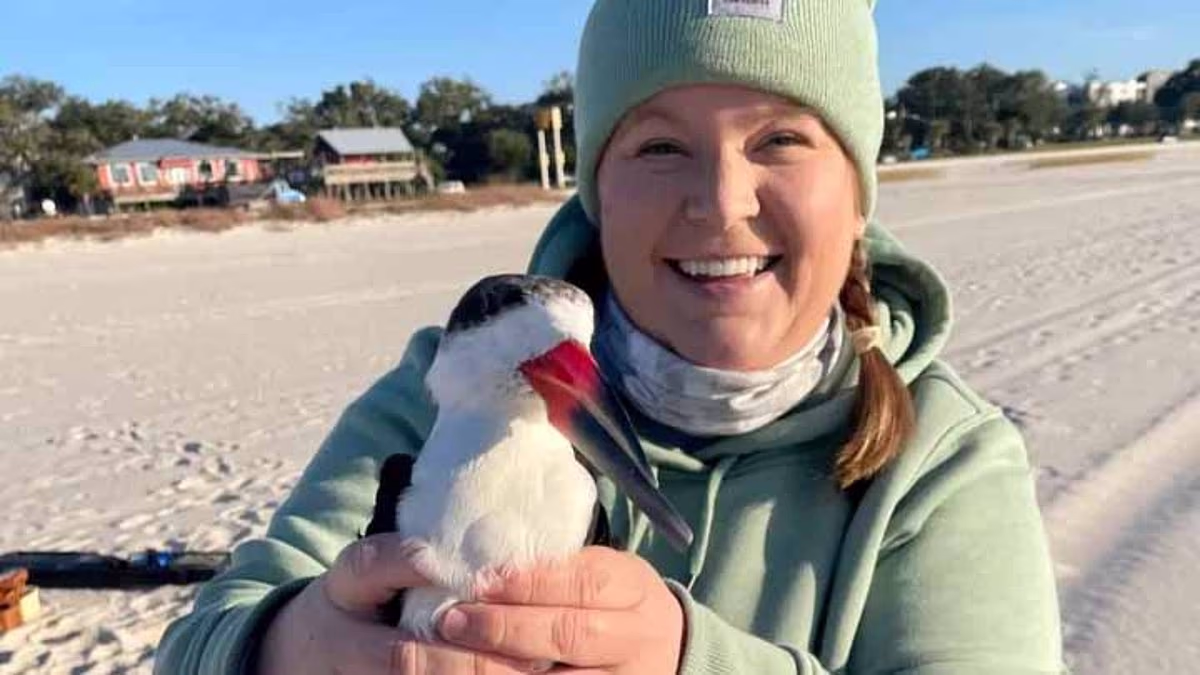 Biologist's world crashes down after Charlie Kirk assassination post