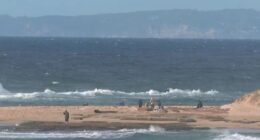 Body found in search for teen missing off NSW coast