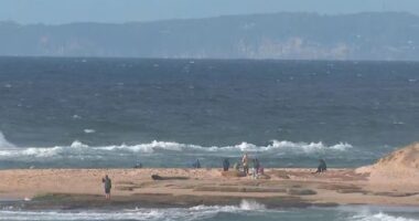 Body found in search for teen missing off NSW coast