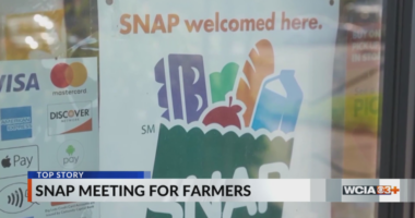 Budzinski meets with Champaign food assistance nonprofit about latest SNAP effects