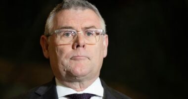 Workplace Relations Minister Murray Watt